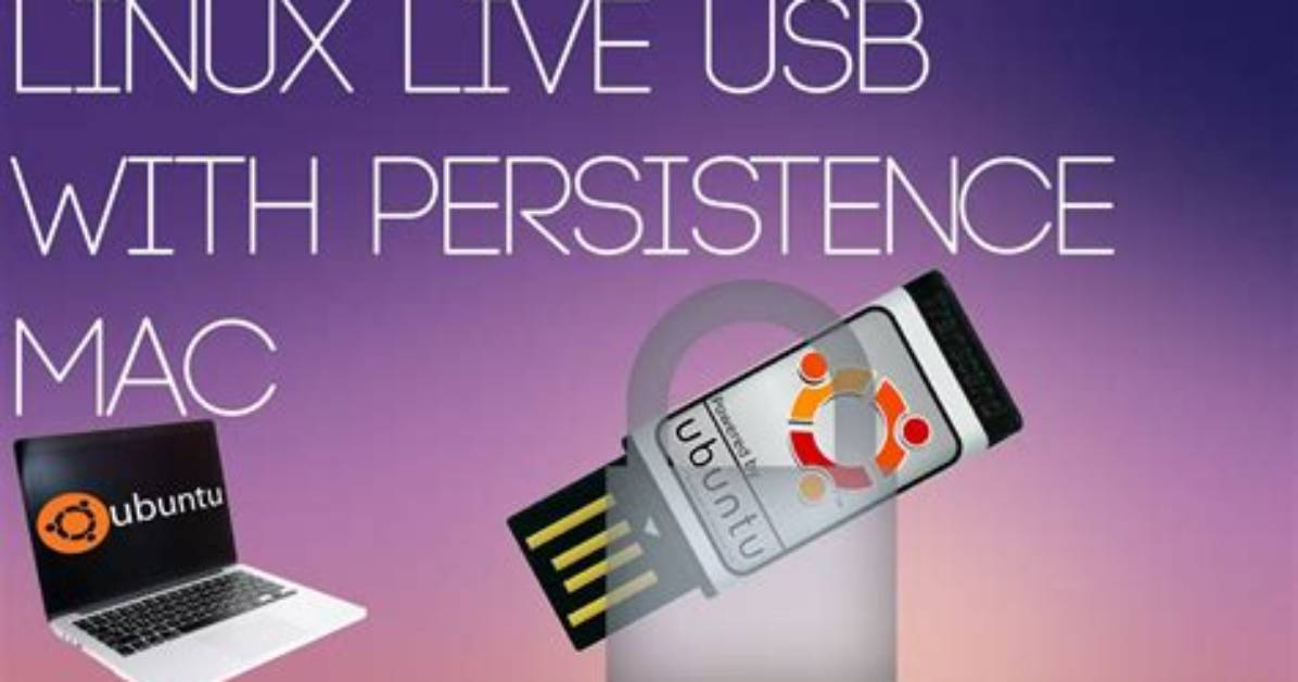 What Is Persistence in Linux Live Usb Creator?
