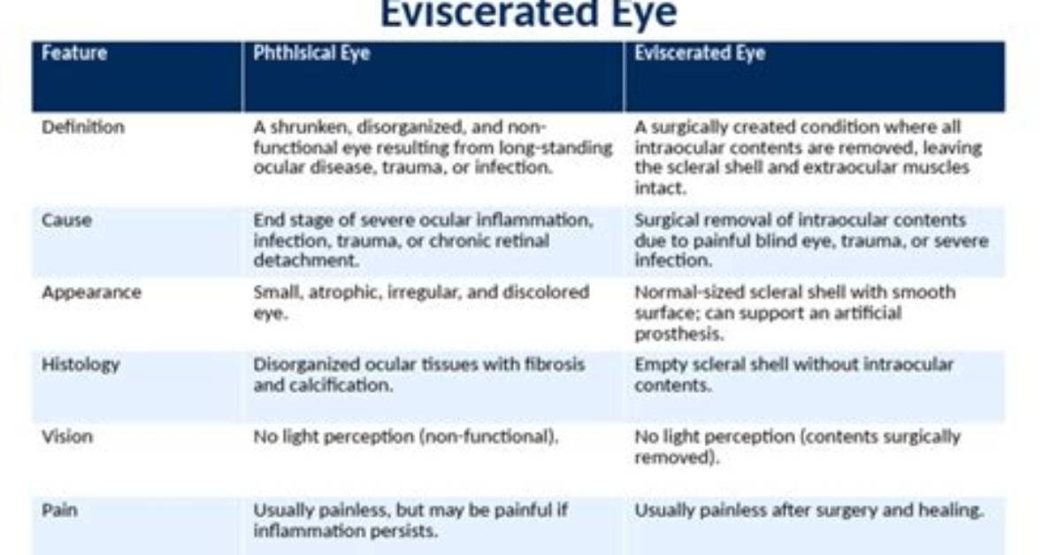 What Is Phthisical Eye?