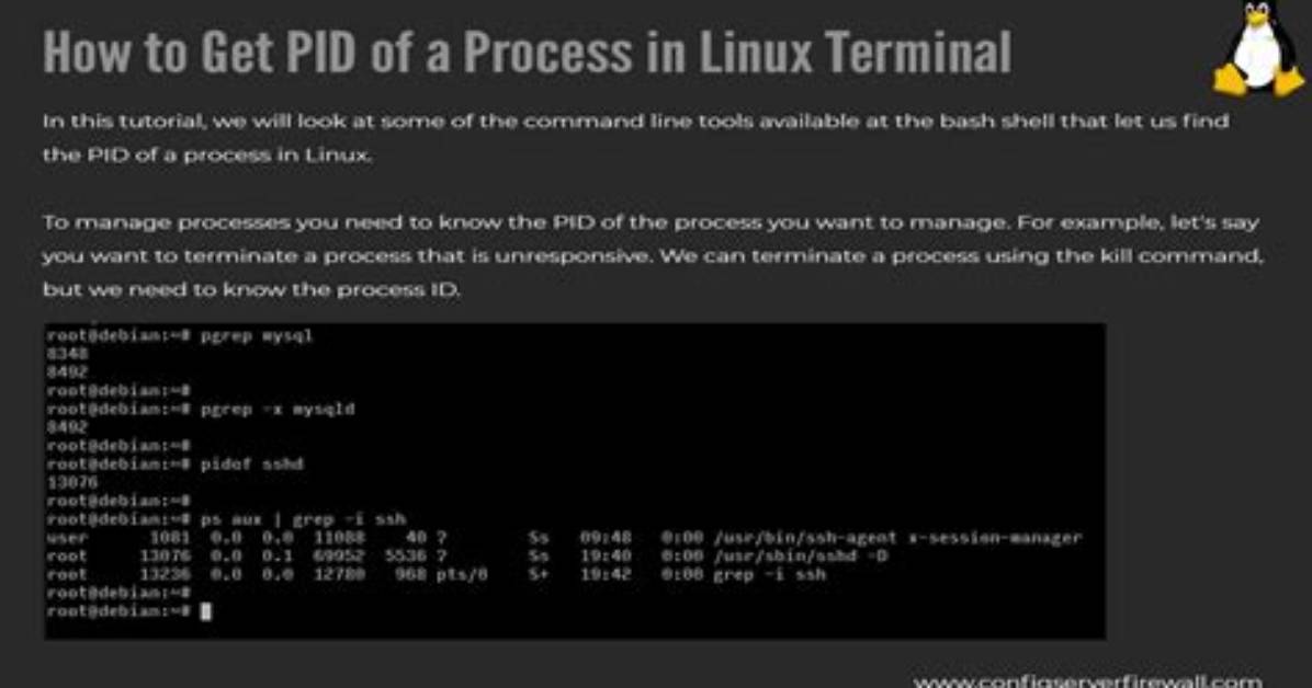 What Is Pid in Linux?