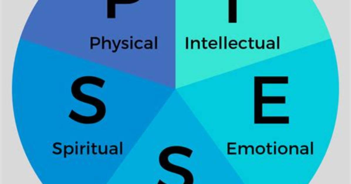 What Is Piess Model