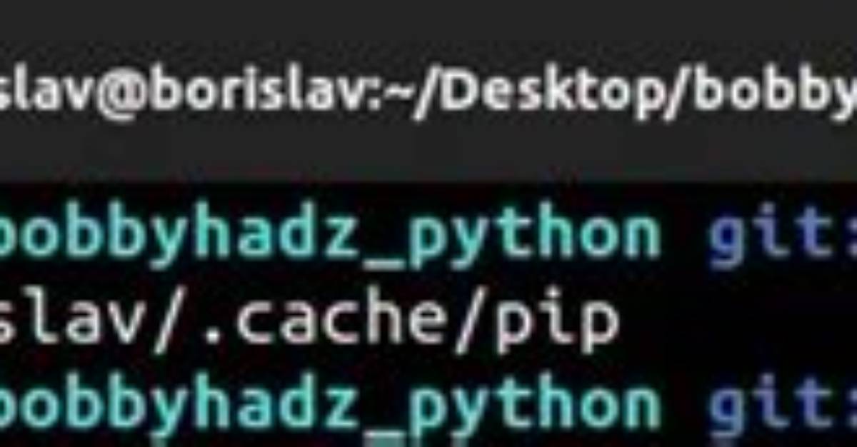 What Is Pip's `--No-Cache-Dir` Good for?