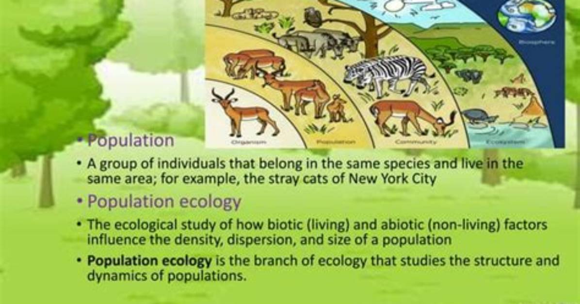 What Is Population Ecology Definition