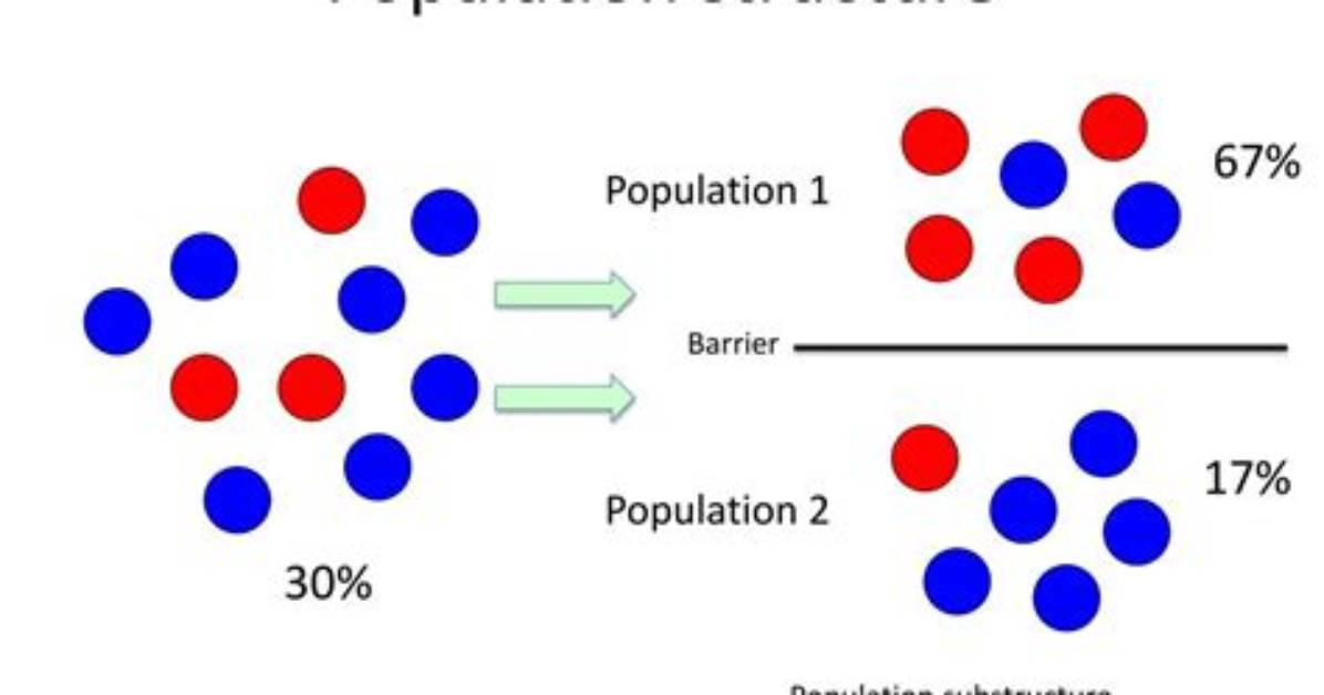 What Is Population Structure in Genetics