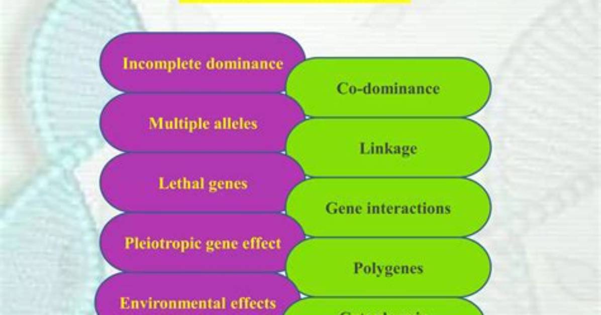 What Is Post Mendelian Genetics?