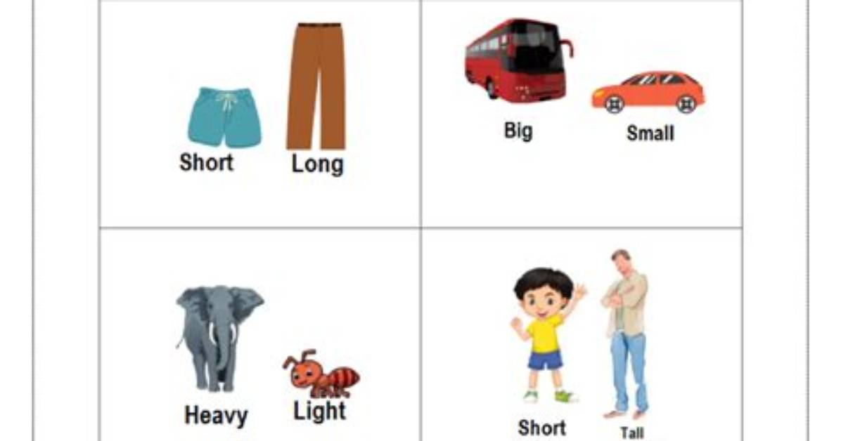What Is Pre Number Concept?