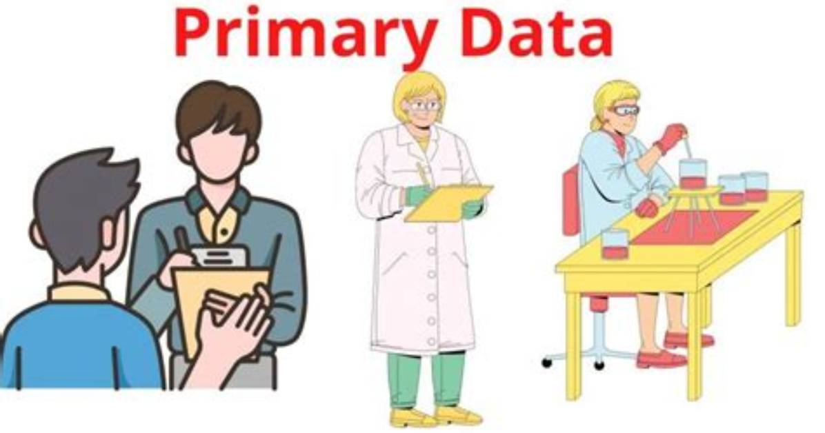 What Is Primary Data in Research