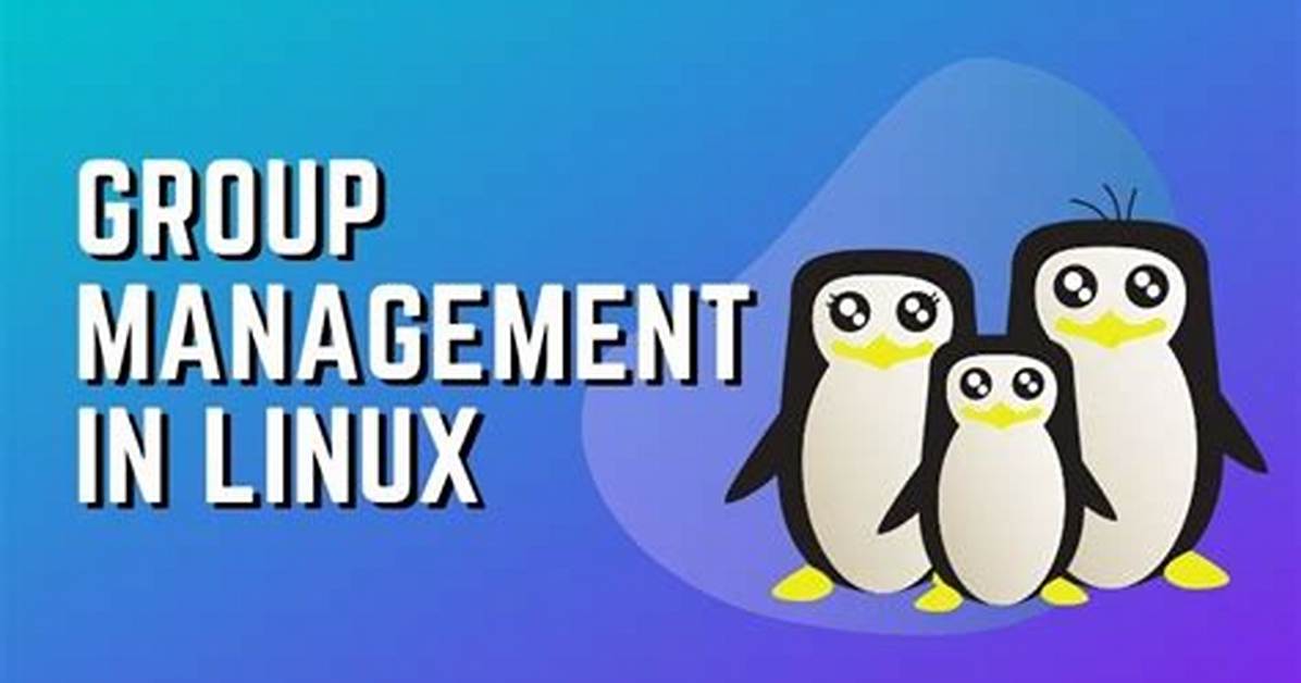 What Is Primary Group Linux?