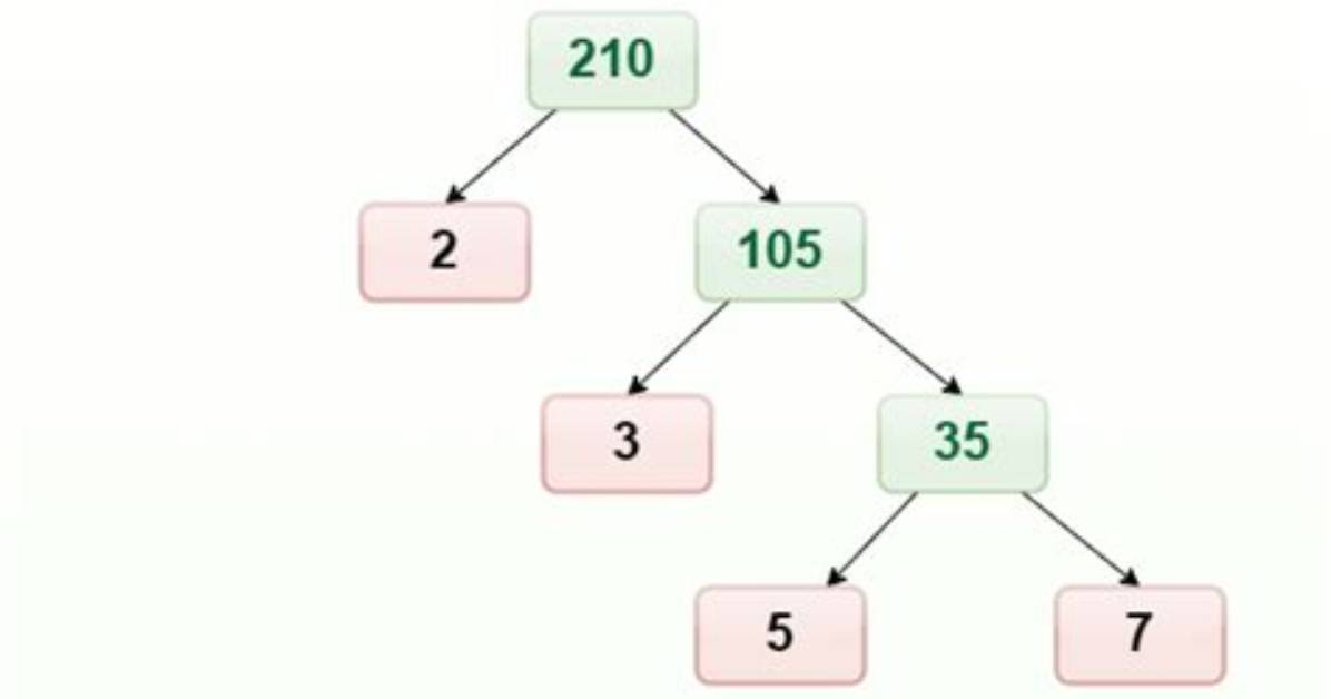 What Is Prime Factor