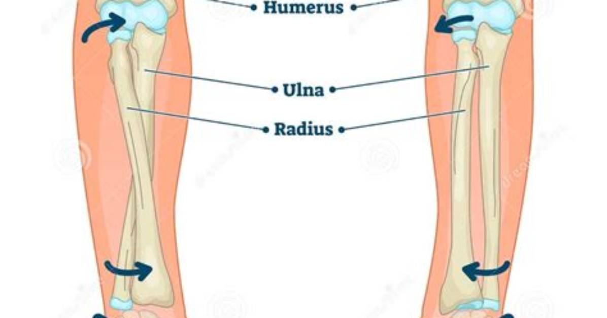 What Is Pronation Example