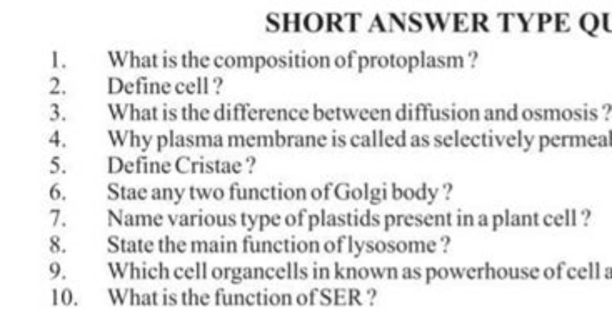 What Is Protoplasm Short Answer?