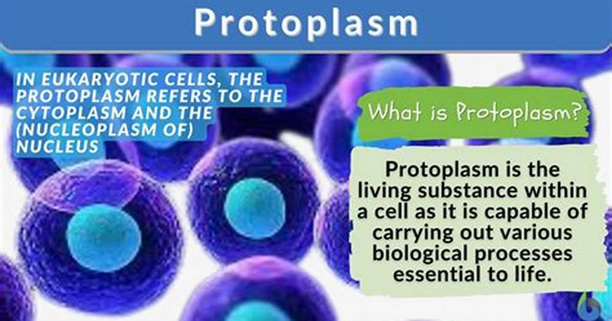 What Is Protoplasmic Structure?