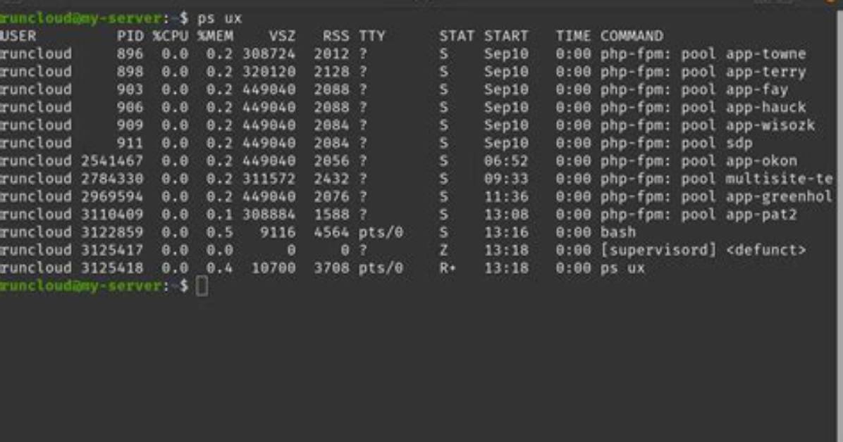 What Is Ps and Top Command in Linux?