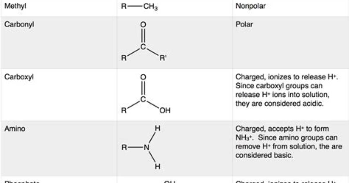 What Is R in Functional Groups?
