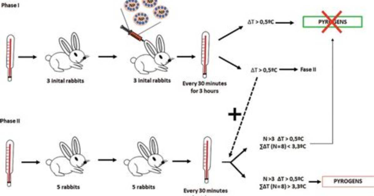 What Is Rabbit Pyrogen Test?