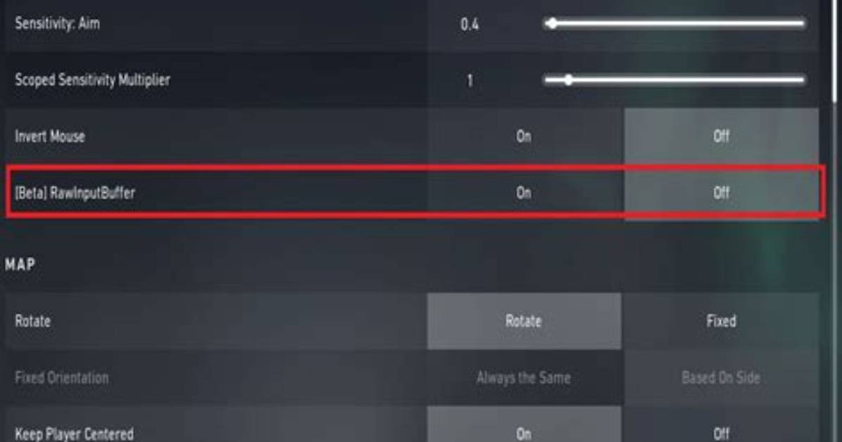 What Is Raw Input Buffer in Valorant