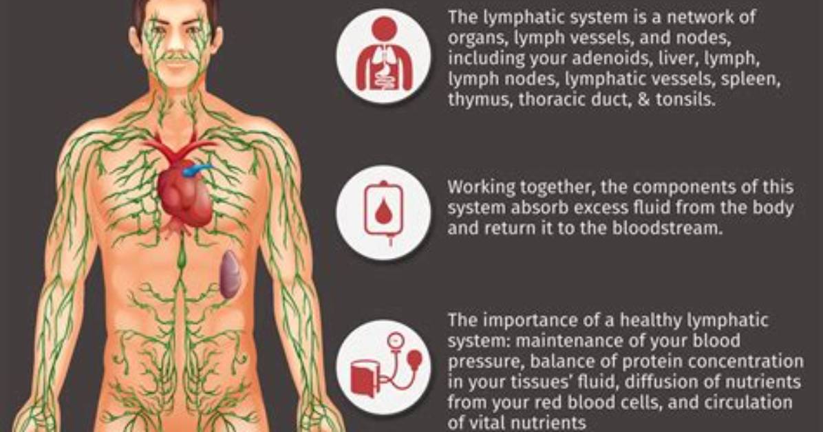 What Is Rebounding for Lymphatic System?