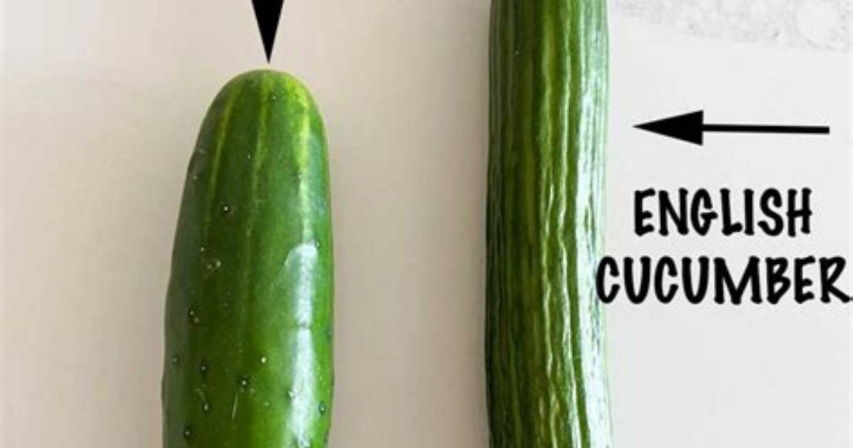 What Is Regular Expression in Cucumber