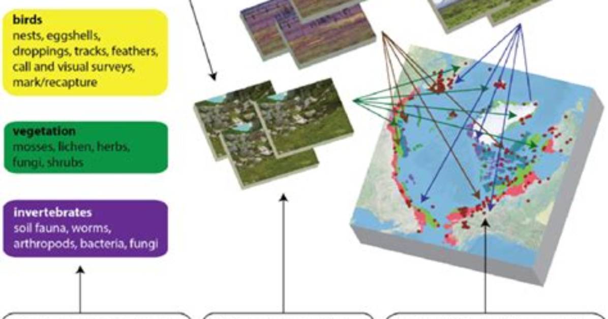 What Is Replicated Sampling?