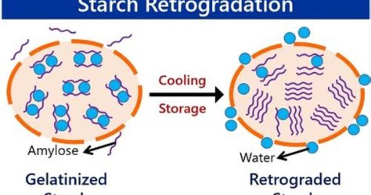 What Is Retrogradation Process in Starch?