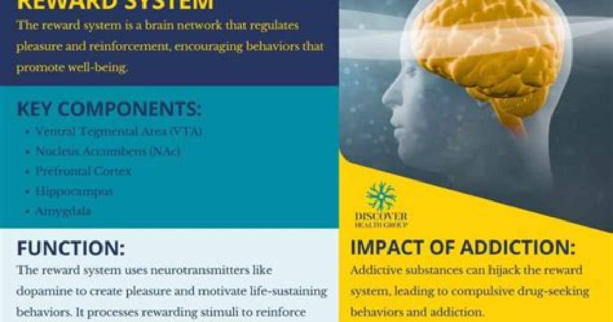 What Is Reward System?
