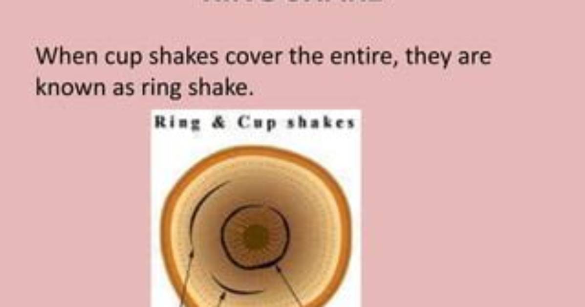 What Is Ring Shake