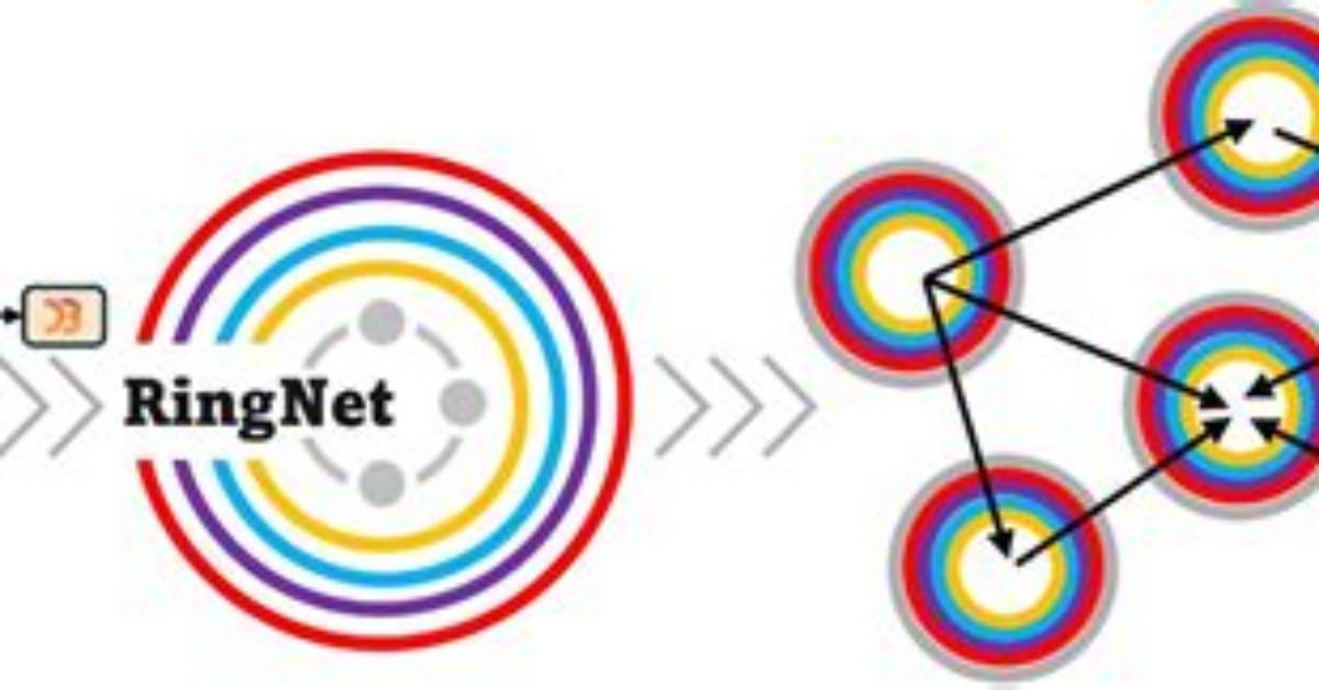 What Is Ringnet