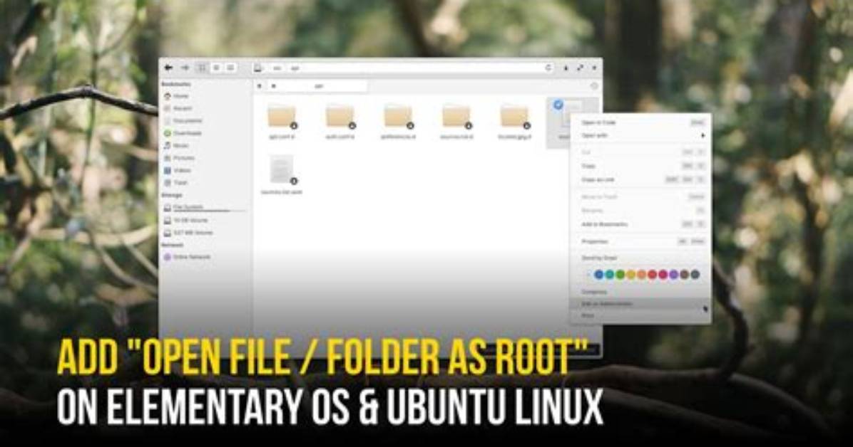 What Is Root Folder in Ubuntu?