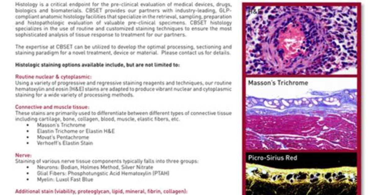 What Is Routine Staining