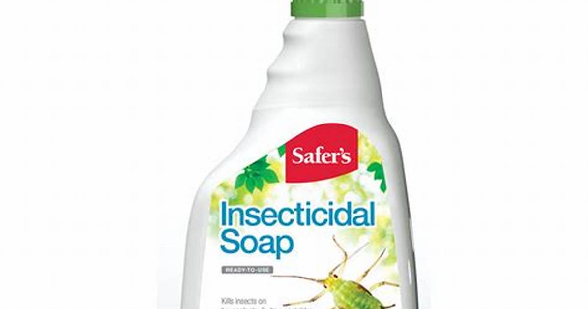 What Is Safer Insecticidal Soap