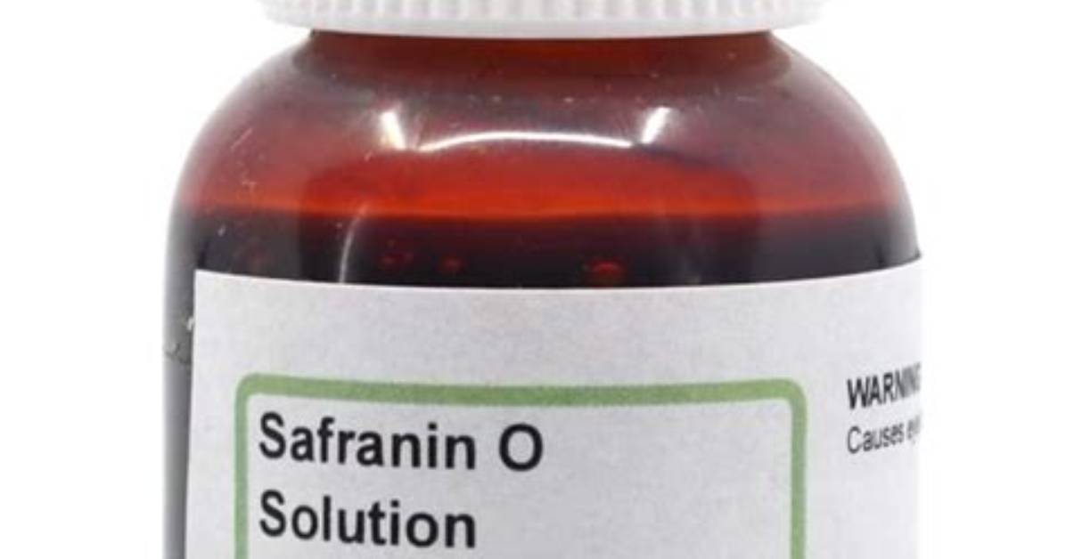 What Is Safranin Solution