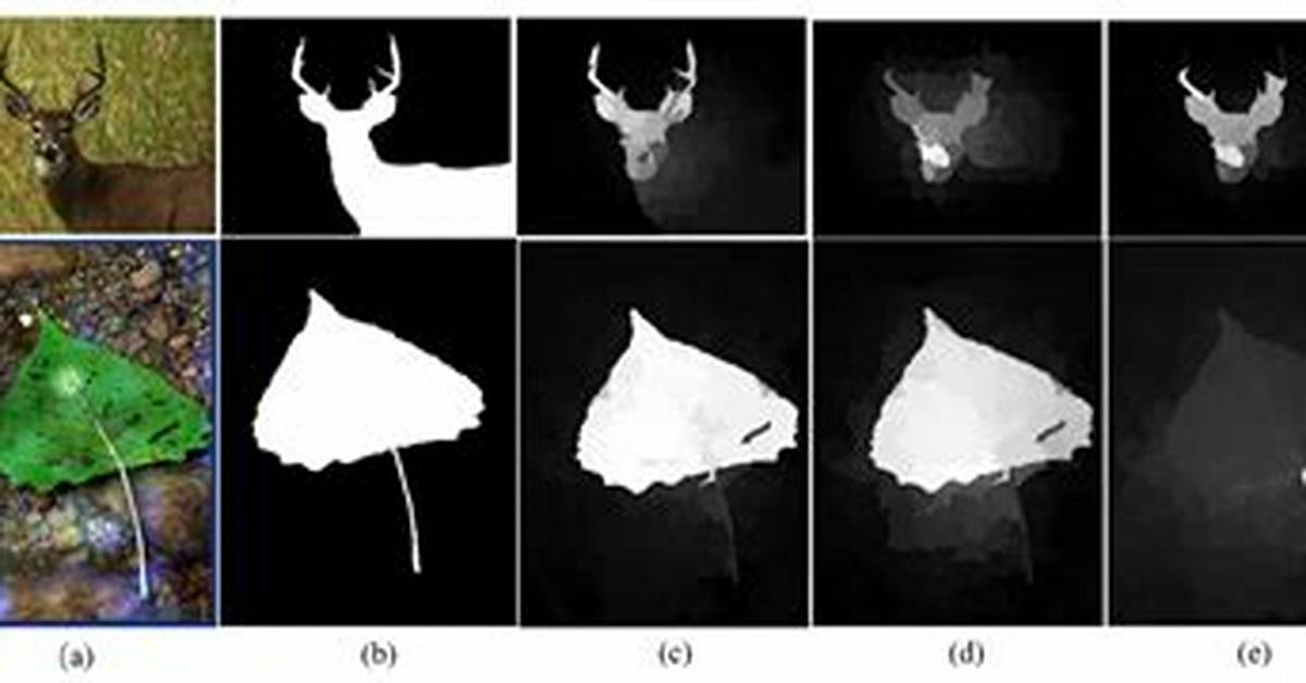 What Is Saliency Detection