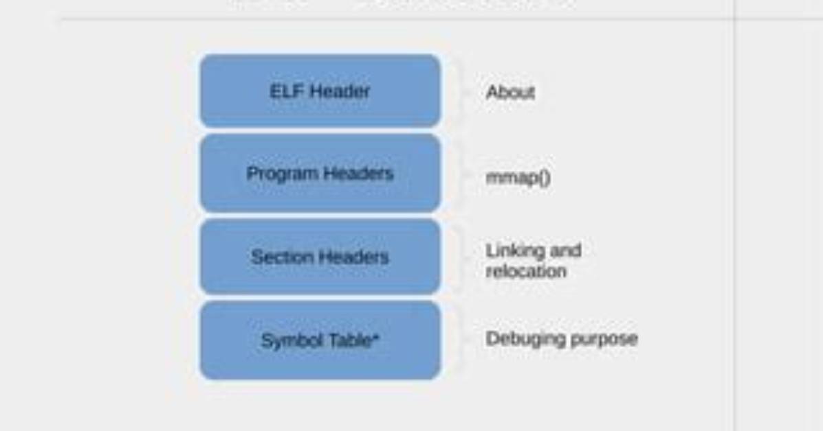 What Is Section in Elf?