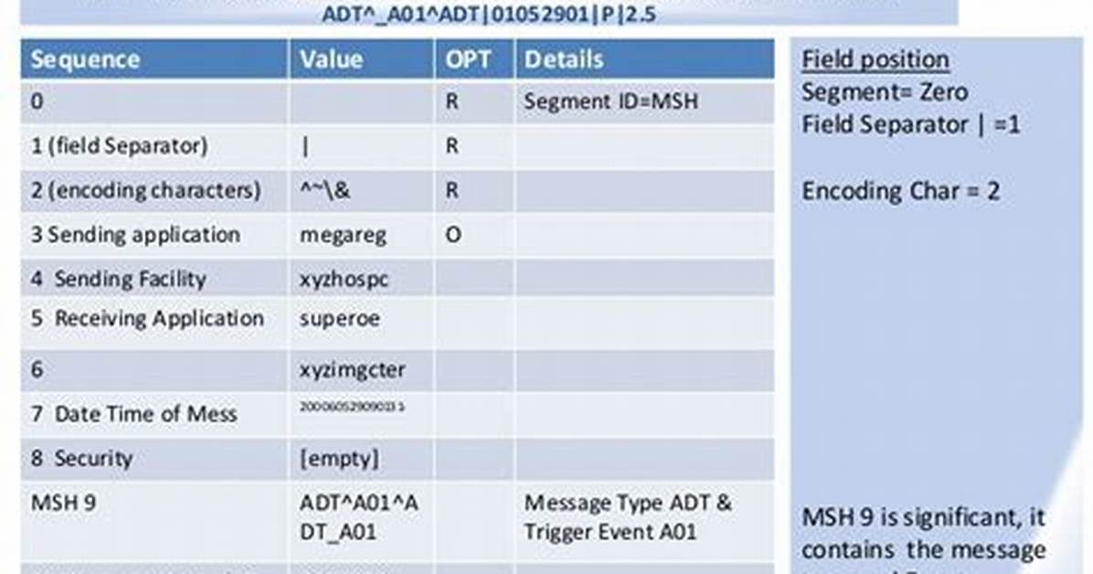 What Is Segment Hl7