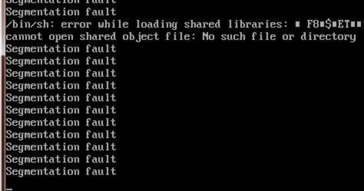 What Is Segmentation Fault?