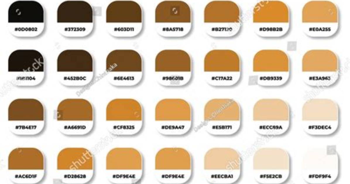 What Is Sepia Tone?