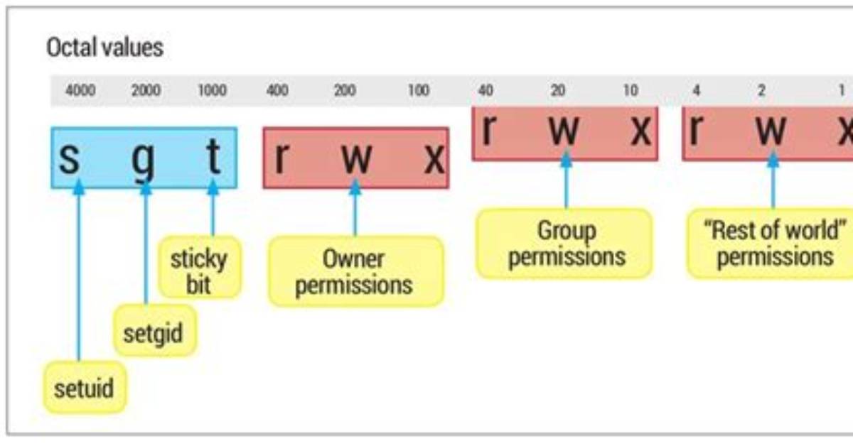What Is Setuid Bit Linux?