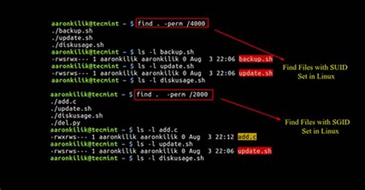 What Is Sgid Files in Linux?