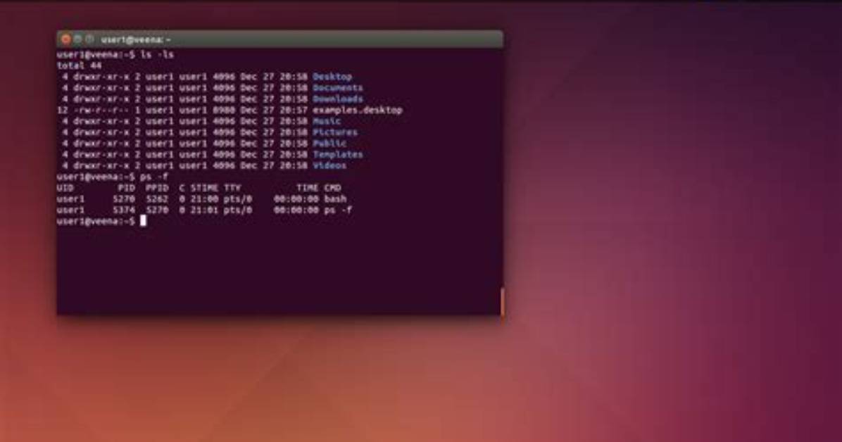 What Is Shell Terminal in Linux?