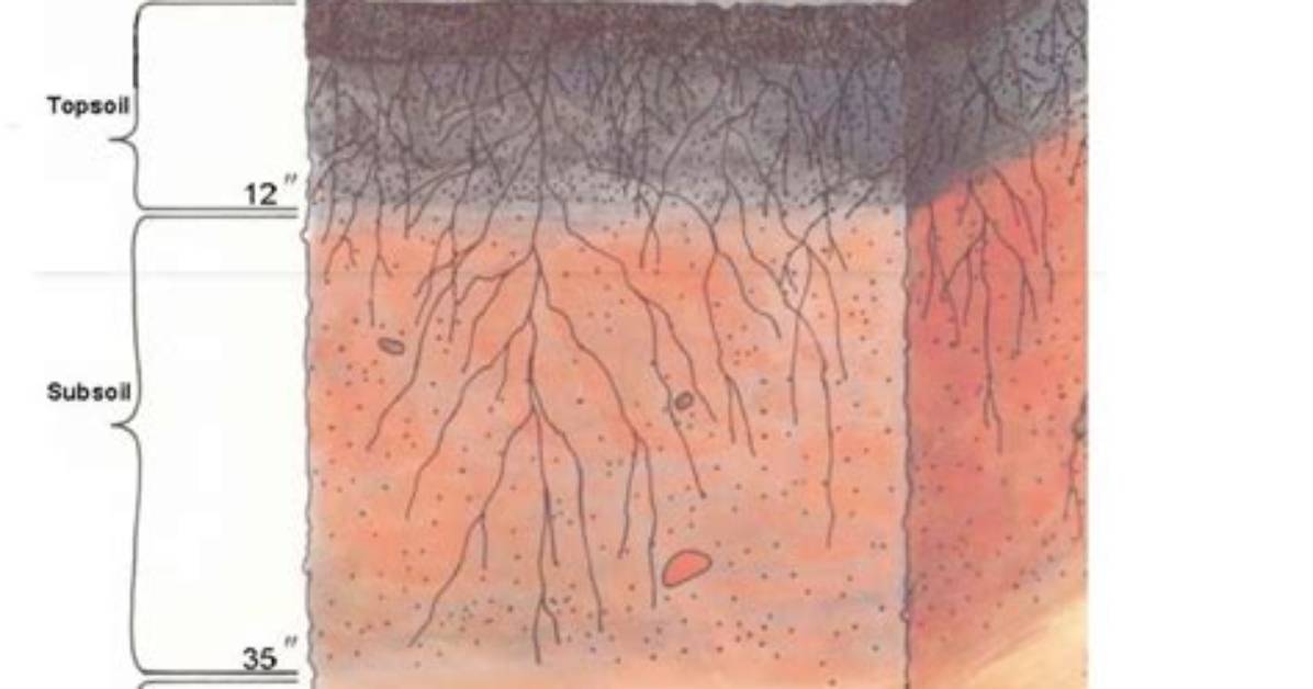 What Is Silt