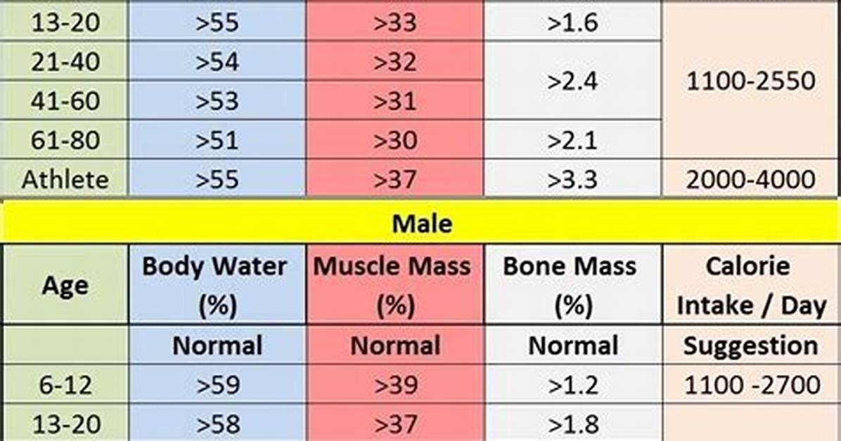 What Is Skeletal Muscle Percentage?