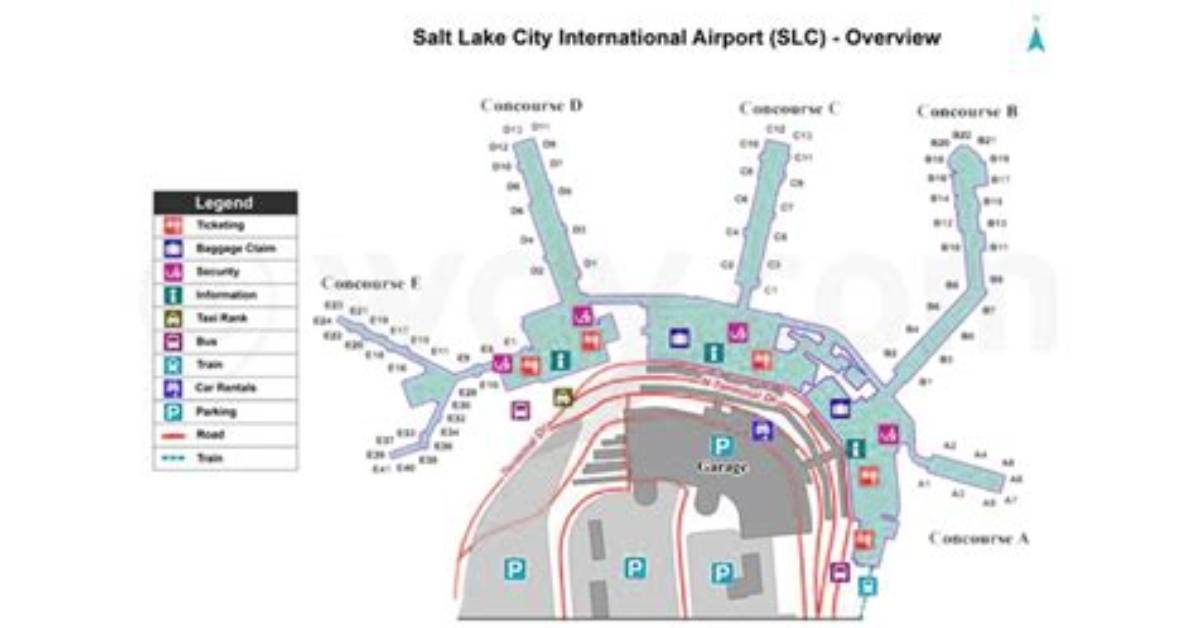 What Is Slc?