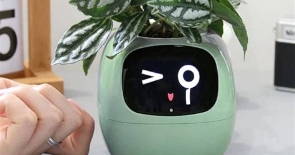 What Is Smart Pot