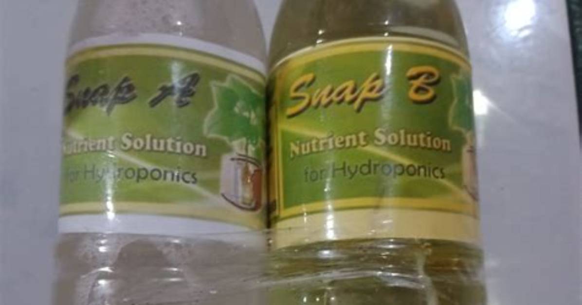 What Is Snap Solution
