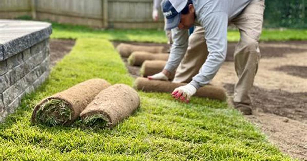 What Is Sodding a Lawn