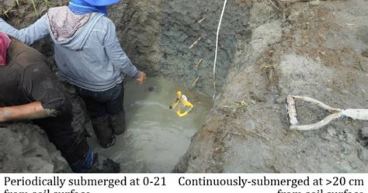 What Is Soil Characterization?