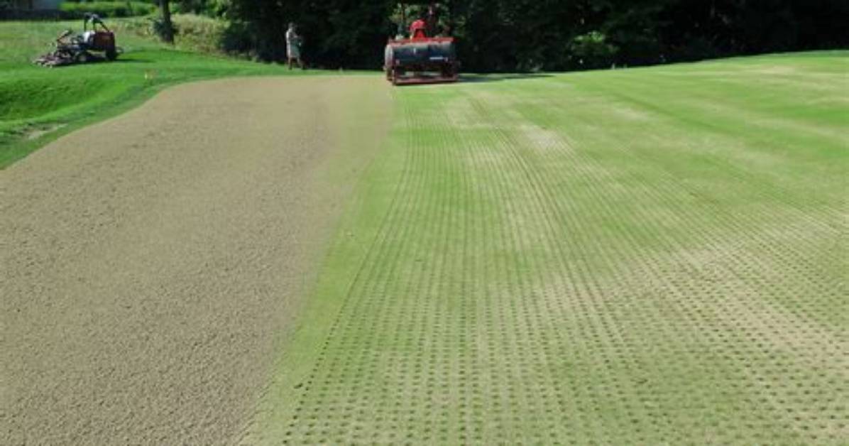 What Is Solid Tine Aeration