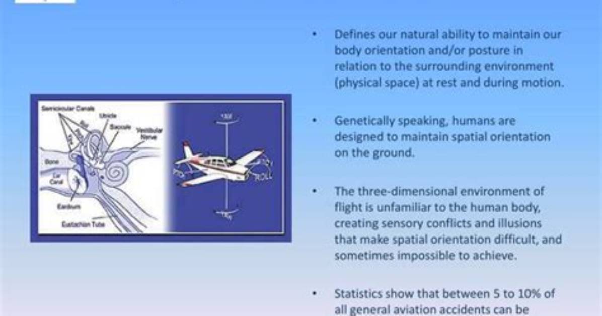 What Is Spatial Orientation in Flight
