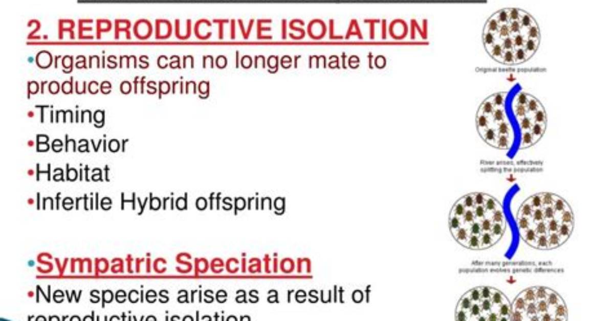 What Is Speciation Apex - Lisbd-Net. Com