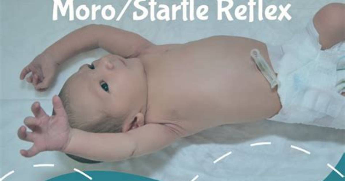 What Is Startle Reflex?