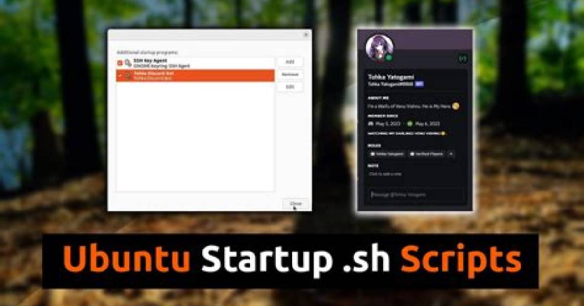 What Is Startup Script in Linux?